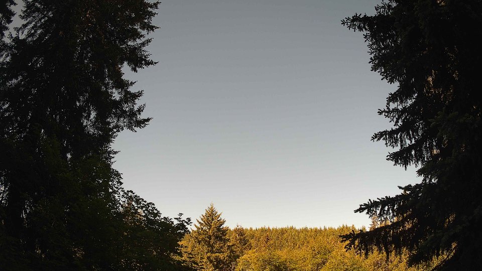 Pacific Northwest skyline timelapse on Jun 02, 2026 at 9:00 AM