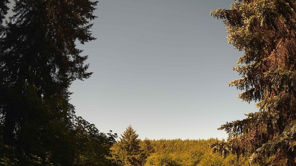 Pacific Northwest skyline timelapse on Jun 02, 2026 at 9:45 AM