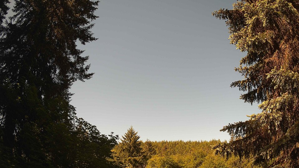 Pacific Northwest skyline timelapse on Jun 02, 2026 at 10:00 AM