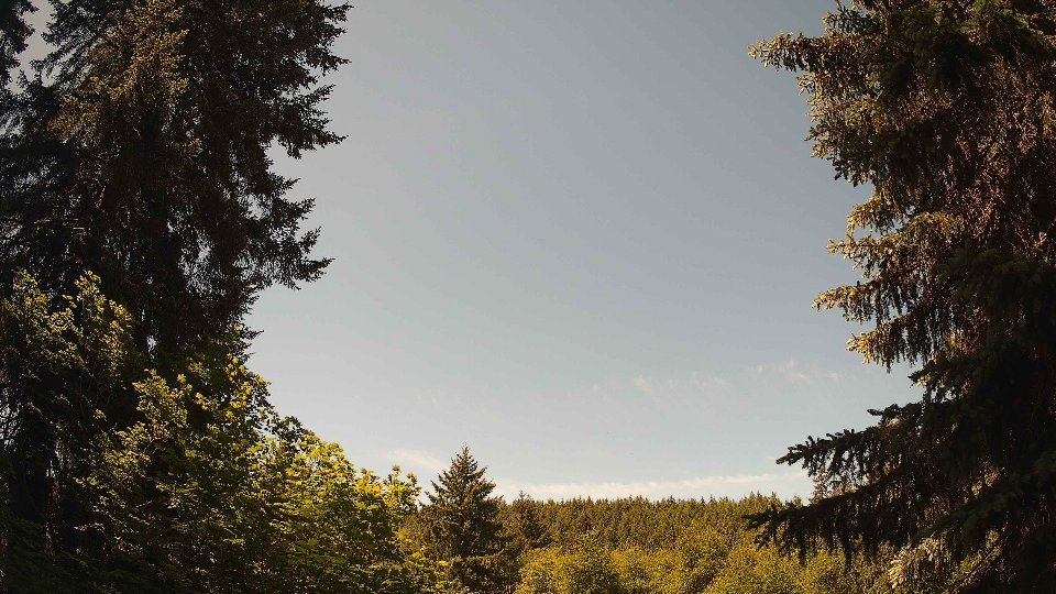 Pacific Northwest skyline timelapse on Jun 02, 2026 at 11:30 AM