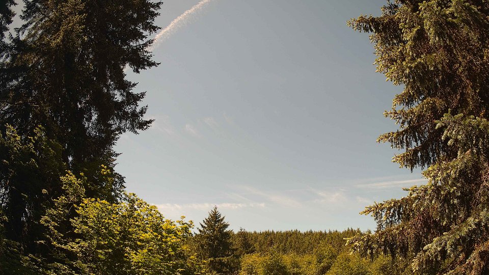 Pacific Northwest skyline timelapse on Jun 02, 2026 at 11:45 AM