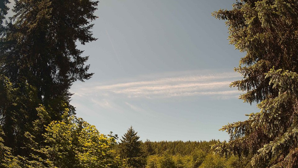 Pacific Northwest skyline timelapse on Jun 02, 2026 at 12:00 PM