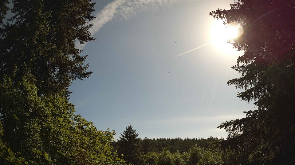 Pacific Northwest skyline timelapse on Jun 02, 2026 at 4:45 PM