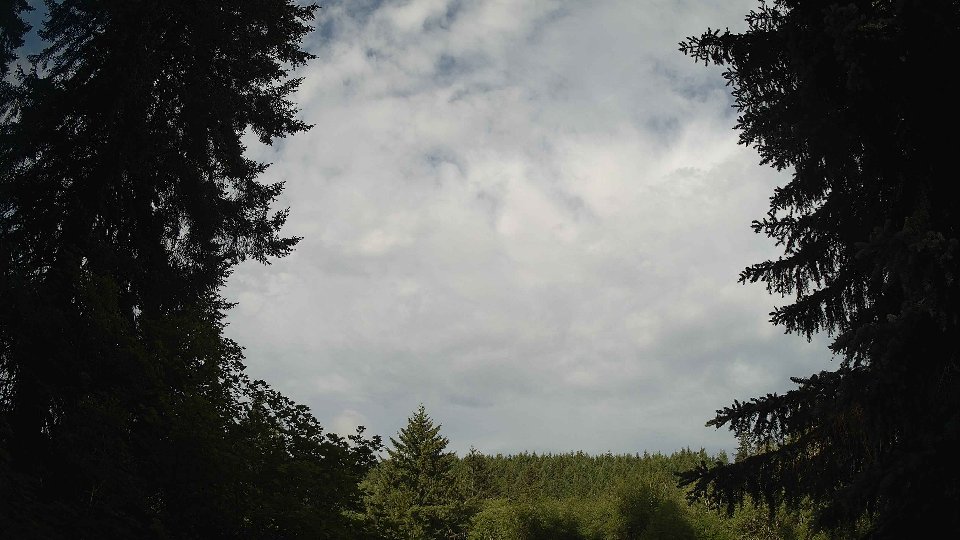 Pacific Northwest skyline timelapse frame from Jun 3rd, 2026 at 8:00 AM