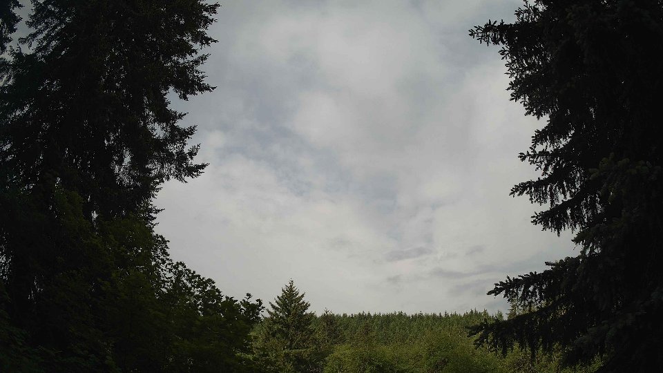 Pacific Northwest skyline timelapse frame from Jun 3rd, 2026 at 8:15 AM