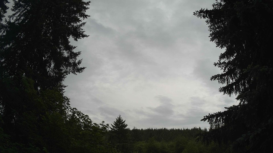 Pacific Northwest skyline timelapse frame from Jun 3rd, 2026 at 9:30 AM