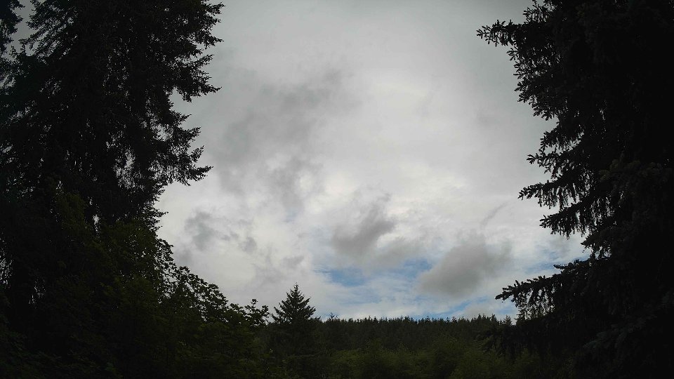 Pacific Northwest skyline timelapse frame from Jun 3rd, 2026 at 10:00 AM