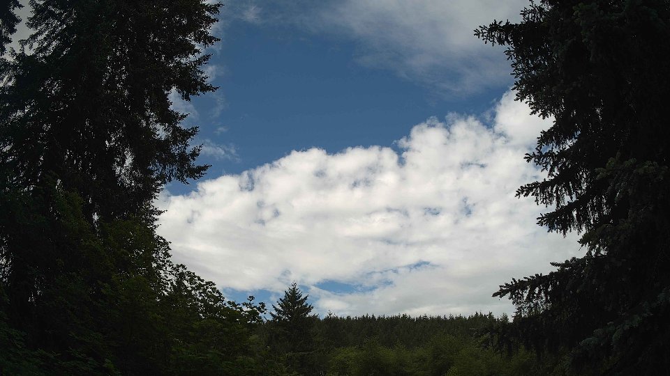 Pacific Northwest skyline timelapse frame from Jun 3rd, 2026 at 10:15 AM