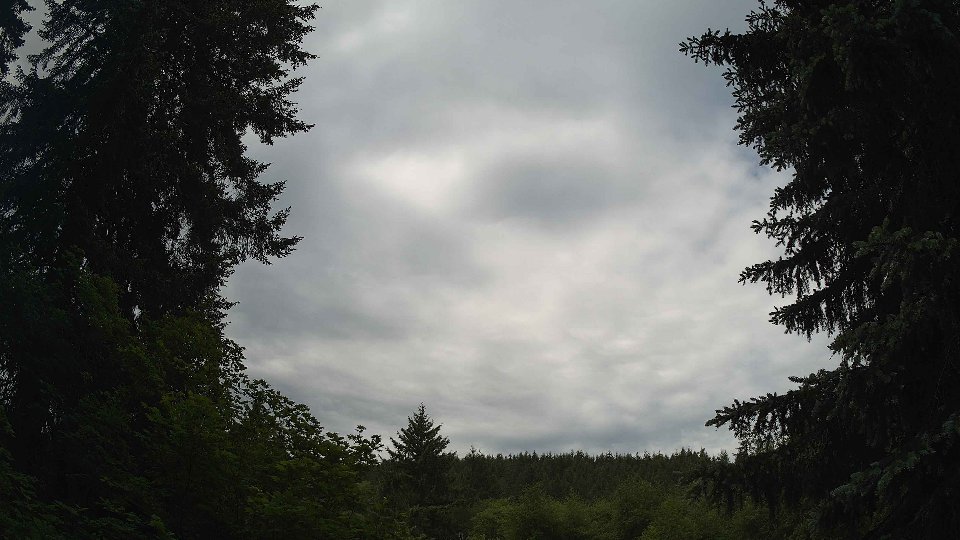 Pacific Northwest skyline timelapse frame from Jun 3rd, 2026 at 10:30 AM