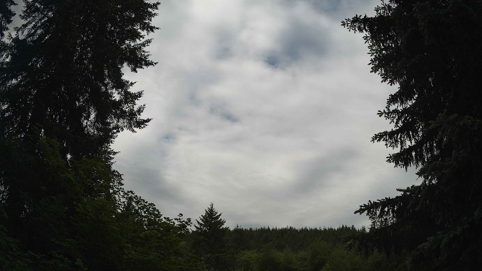 Pacific Northwest skyline timelapse frame from Jun 3rd, 2026 at 11:00 AM