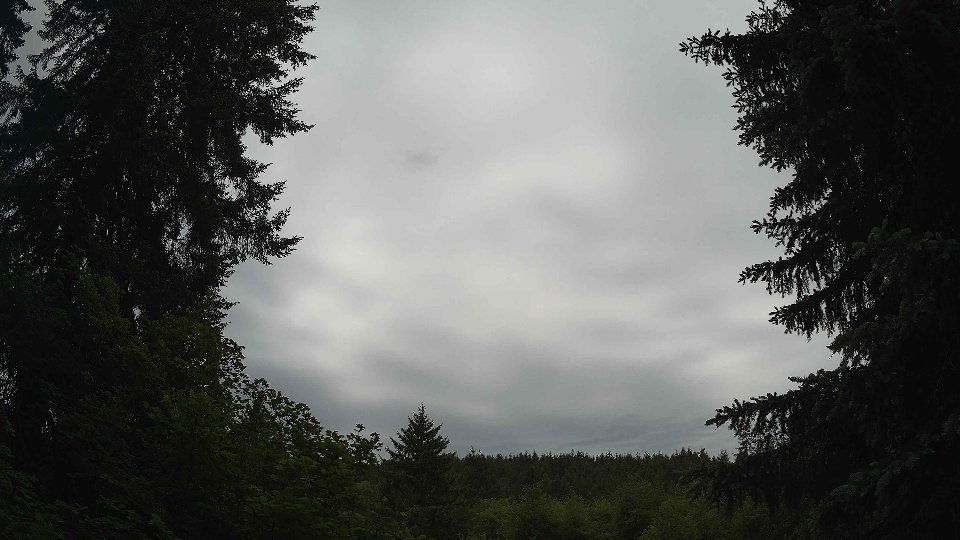 Pacific Northwest skyline timelapse frame from Jun 3rd, 2026 at 11:15 AM