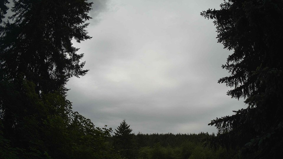 Pacific Northwest skyline timelapse frame from Jun 3rd, 2026 at 11:30 AM