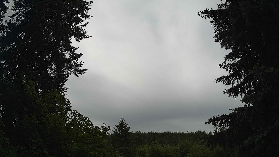 Pacific Northwest skyline timelapse frame from Jun 3rd, 2026 at 11:45 AM