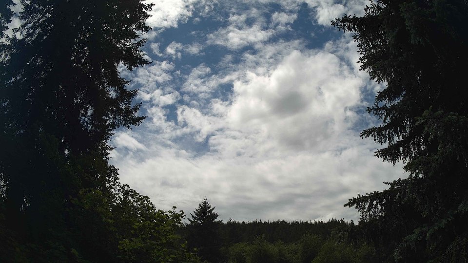 Pacific Northwest skyline timelapse frame from Jun 3rd, 2026 at 1:30 PM