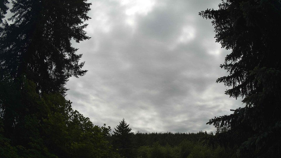 Pacific Northwest skyline timelapse frame from Jun 3rd, 2026 at 2:30 PM