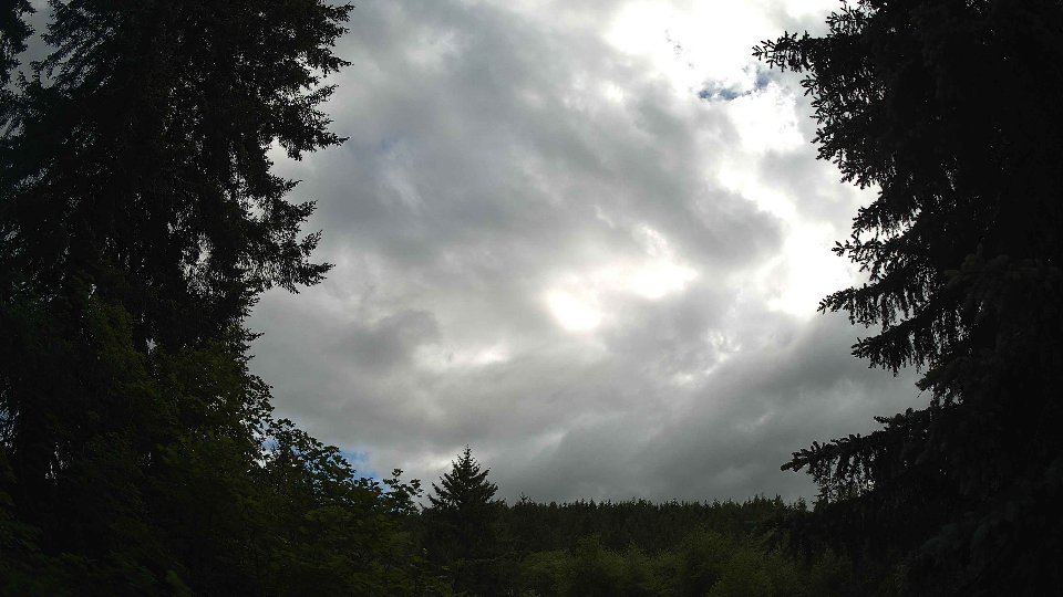 Pacific Northwest skyline timelapse frame from Jun 3rd, 2026 at 5:30 PM