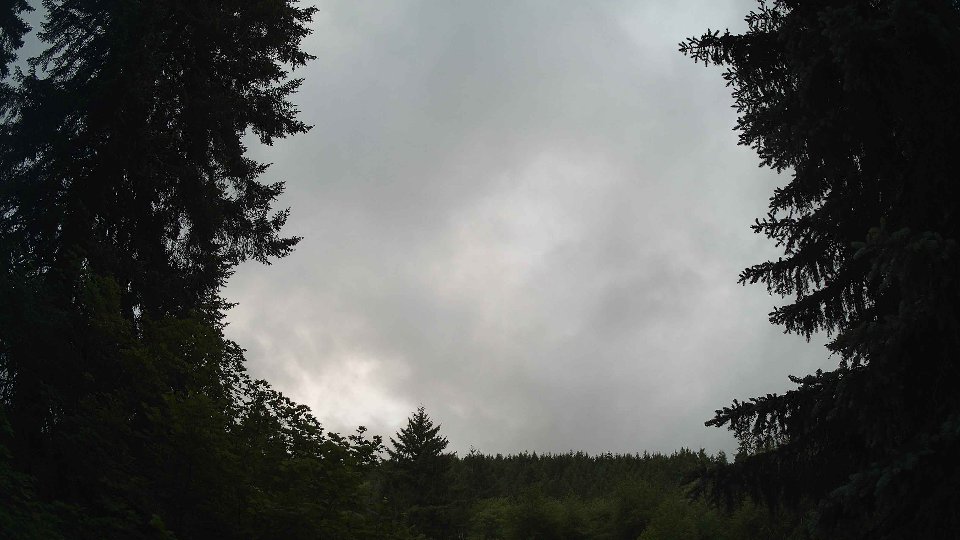 Pacific Northwest skyline timelapse frame from Jun 3rd, 2026 at 8:30 PM