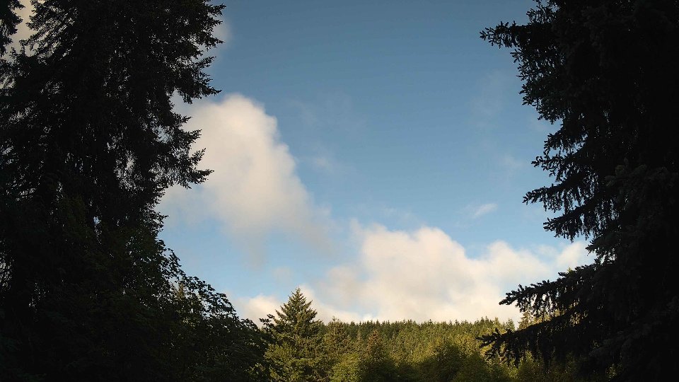 Pacific Northwest skyline timelapse frame from Jun 4th, 2026 at 7:30 AM