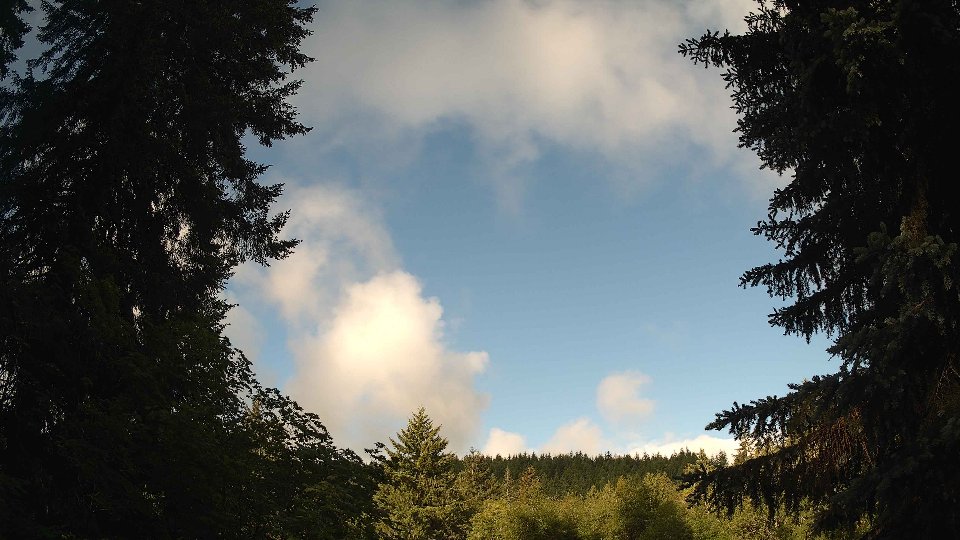 Pacific Northwest skyline timelapse frame from Jun 4th, 2026 at 8:00 AM
