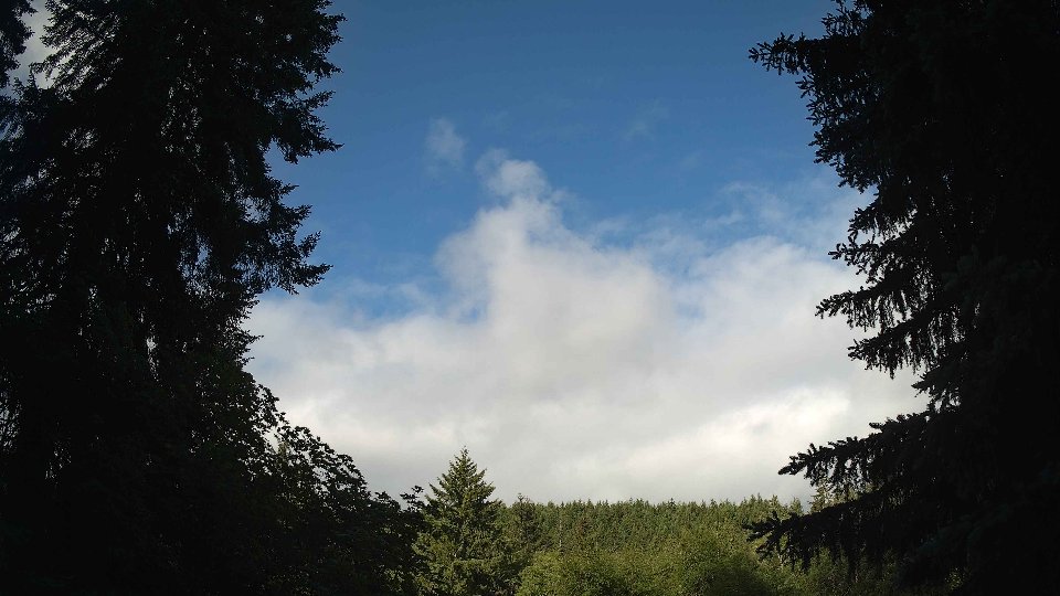 Pacific Northwest skyline timelapse frame from Jun 4th, 2026 at 8:15 AM