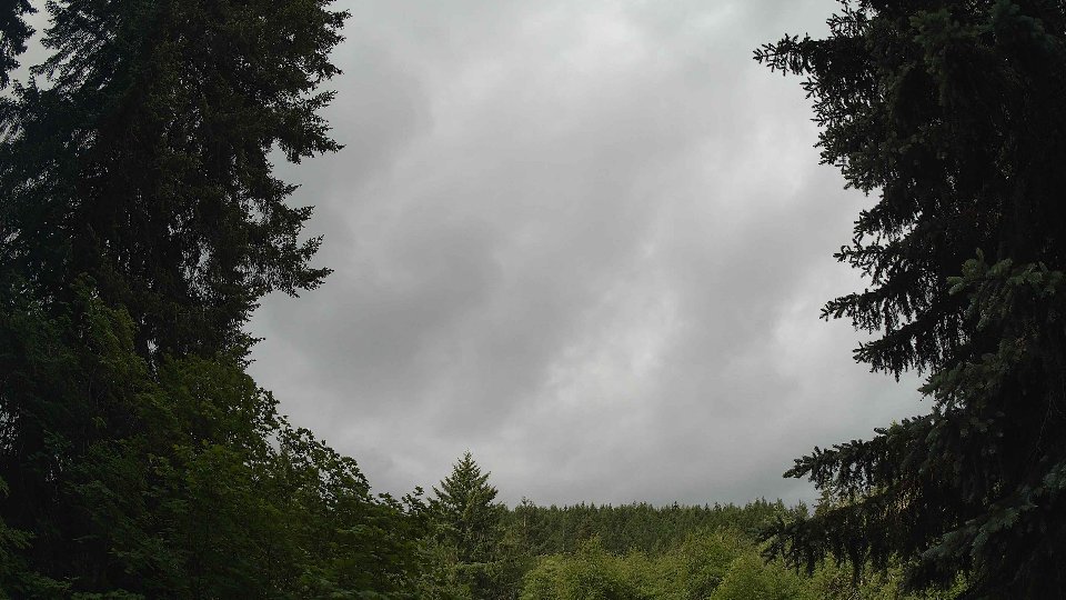 Pacific Northwest skyline timelapse frame from Jun 4th, 2026 at 8:30 AM