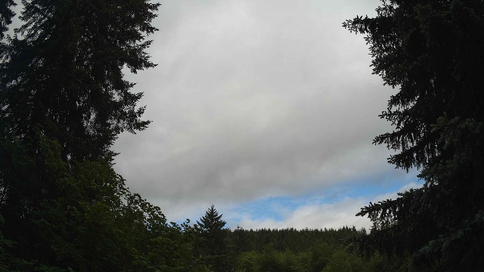 Pacific Northwest skyline timelapse frame from Jun 4th, 2026 at 9:15 AM