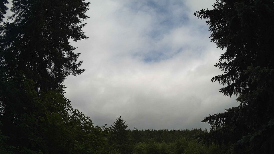 Pacific Northwest skyline timelapse frame from Jun 4th, 2026 at 9:30 AM
