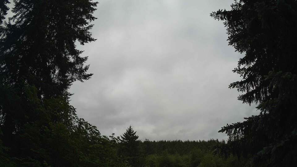 Pacific Northwest skyline timelapse frame from Jun 4th, 2026 at 10:15 AM