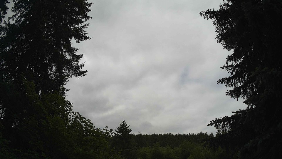 Pacific Northwest skyline timelapse frame from Jun 4th, 2026 at 11:00 AM