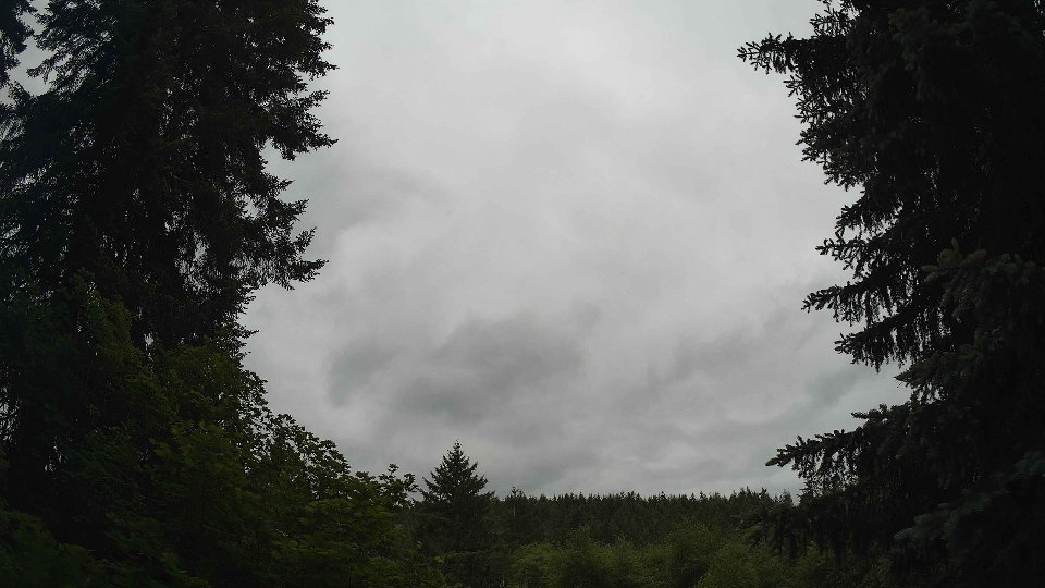 Pacific Northwest skyline timelapse frame from Jun 4th, 2026 at 11:15 AM