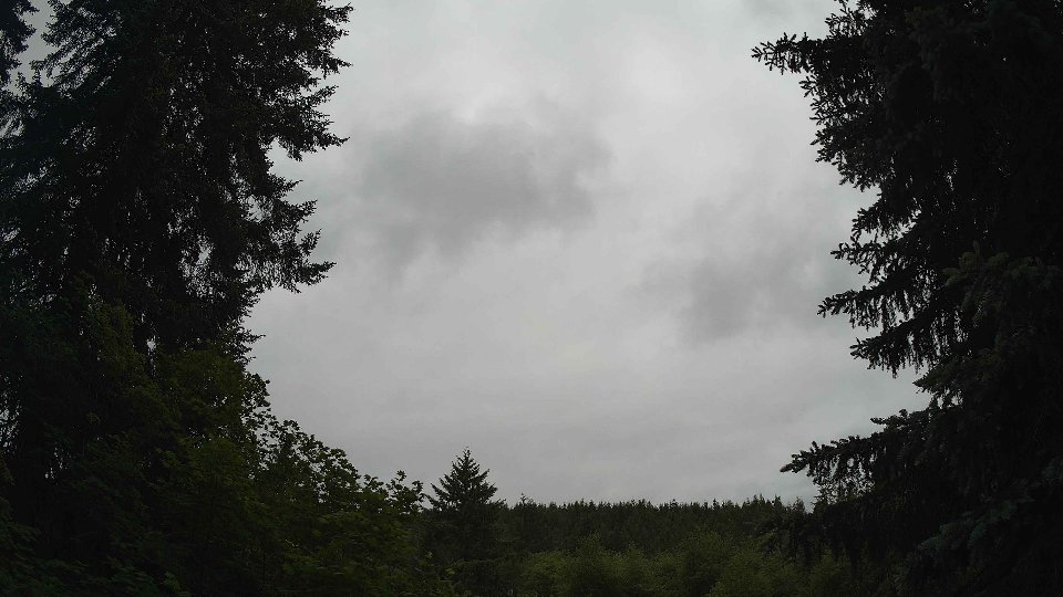 Pacific Northwest skyline timelapse frame from Jun 4th, 2026 at 11:45 AM