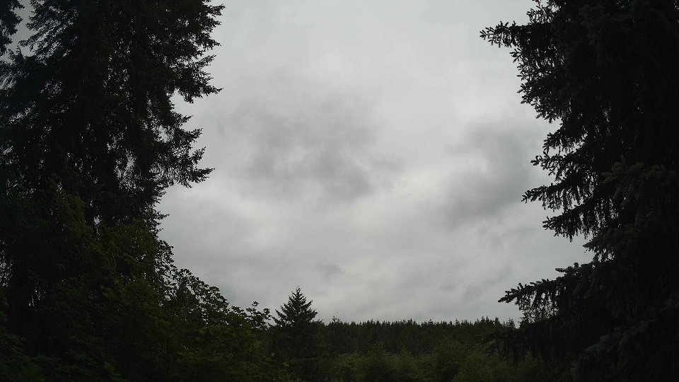 Pacific Northwest skyline timelapse frame from Jun 4th, 2026 at 12:00 PM