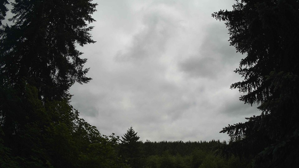 Pacific Northwest skyline timelapse frame from Jun 4th, 2026 at 12:15 PM