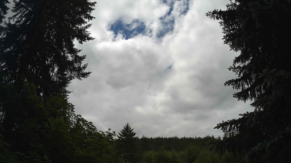 Pacific Northwest skyline timelapse frame from Jun 4th, 2026 at 12:30 PM
