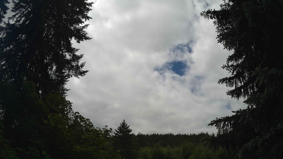 Pacific Northwest skyline timelapse frame from Jun 4th, 2026 at 12:45 PM