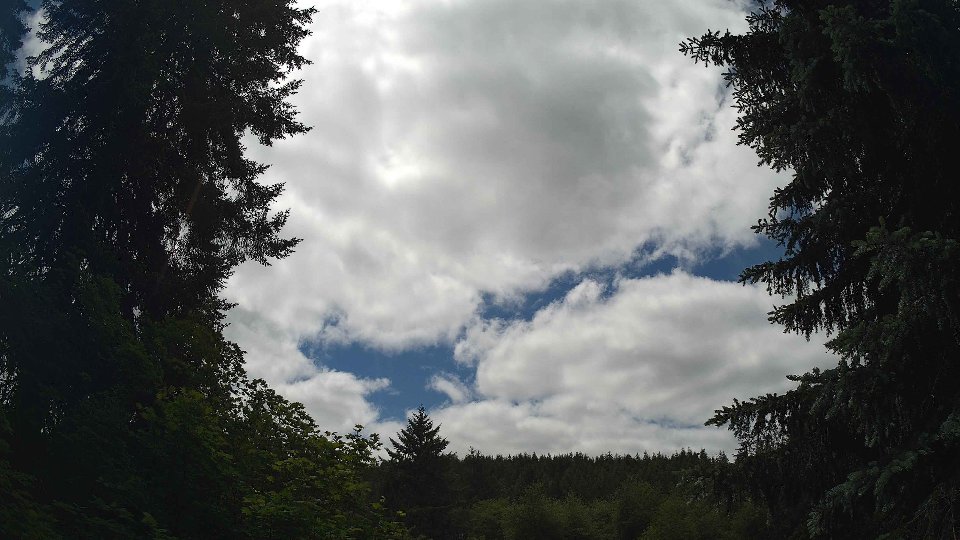 Pacific Northwest skyline timelapse frame from Jun 4th, 2026 at 1:30 PM