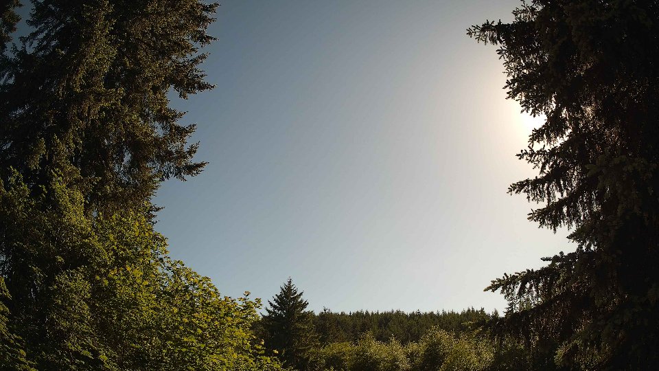 Pacific Northwest skyline timelapse frame from Jun 4th, 2026 at 5:15 PM
