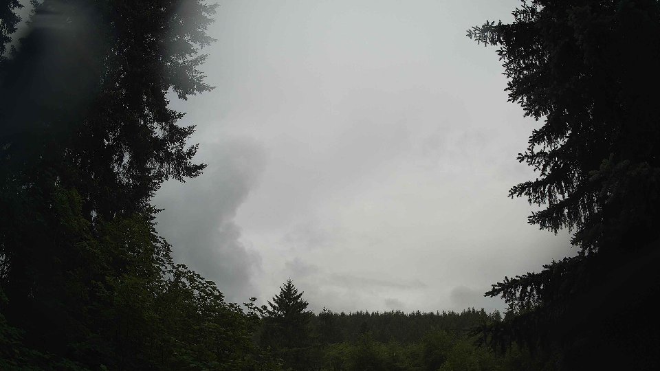 Pacific Northwest skyline timelapse frame from Jun 5th, 2026 at 8:00 AM