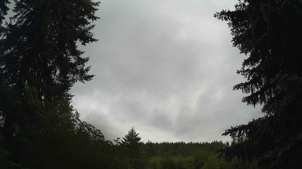 Pacific Northwest skyline timelapse frame from Jun 5th, 2026 at 9:00 AM