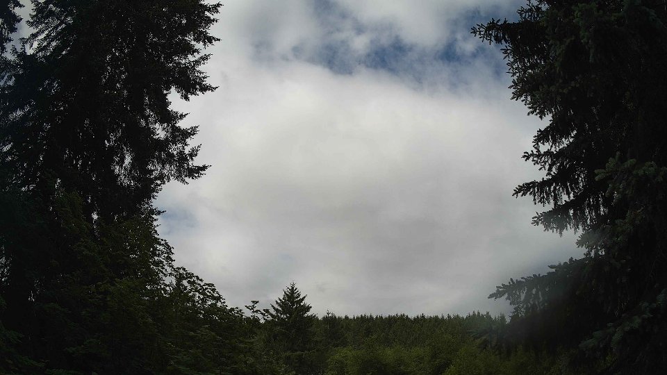 Pacific Northwest skyline timelapse frame from Jun 5th, 2026 at 10:00 AM