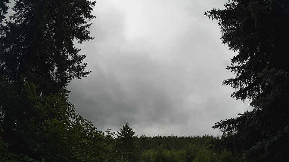Pacific Northwest skyline timelapse frame from Jun 5th, 2026 at 10:45 AM