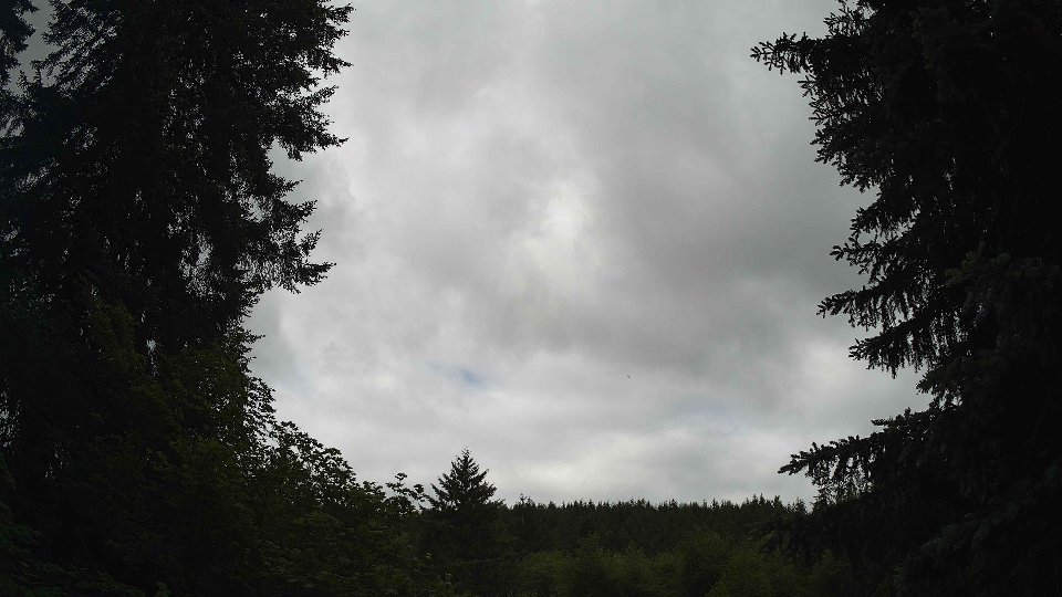Pacific Northwest skyline timelapse frame from Jun 5th, 2026 at 11:00 AM