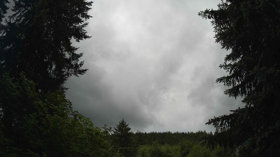 Pacific Northwest skyline timelapse frame from Jun 5th, 2026 at 11:30 AM