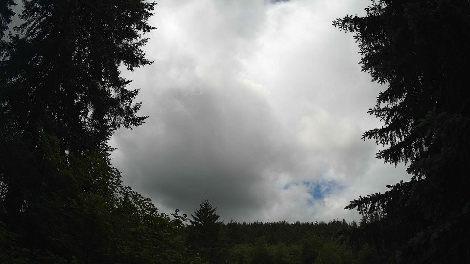Pacific Northwest skyline timelapse frame from Jun 5th, 2026 at 11:45 AM