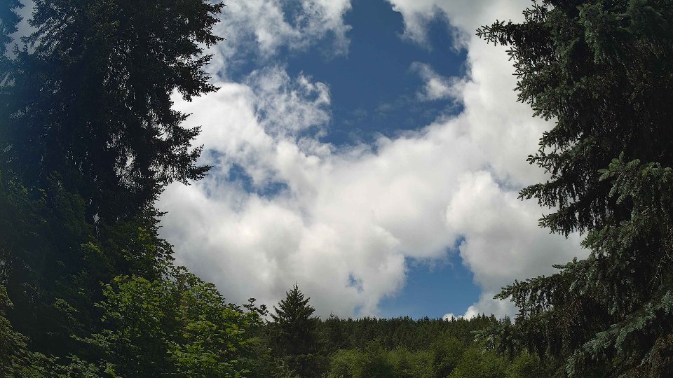 Pacific Northwest skyline timelapse frame from Jun 5th, 2026 at 12:15 PM
