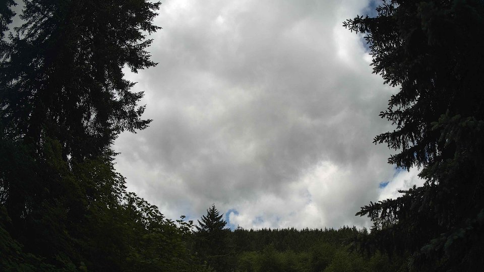 Pacific Northwest skyline timelapse frame from Jun 5th, 2026 at 12:30 PM