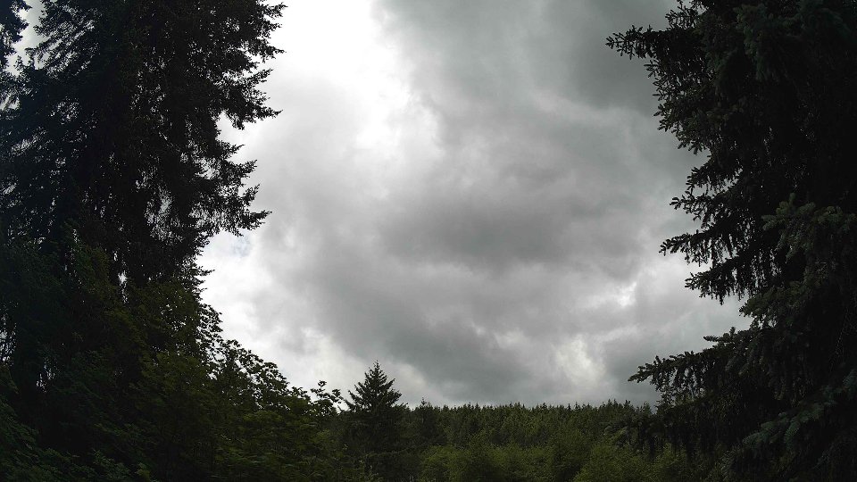 Pacific Northwest skyline timelapse frame from Jun 5th, 2026 at 12:45 PM