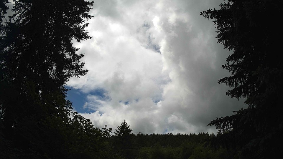 Pacific Northwest skyline timelapse frame from Jun 5th, 2026 at 1:15 PM