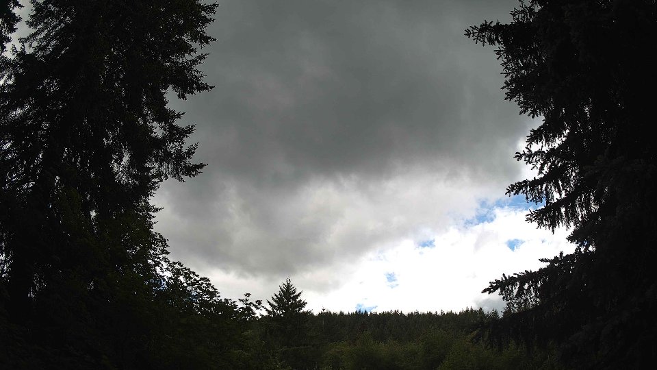Pacific Northwest skyline timelapse frame from Jun 5th, 2026 at 1:30 PM