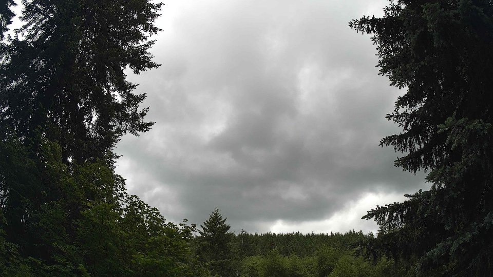 Pacific Northwest skyline timelapse frame from Jun 5th, 2026 at 3:30 PM